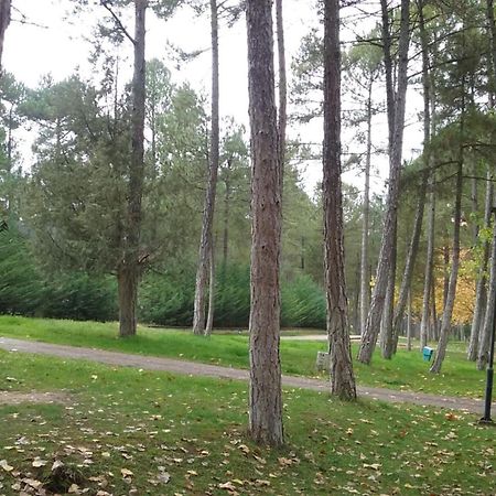 Camping Caravaning Cuenca Cuenca  Eksteriør bilde