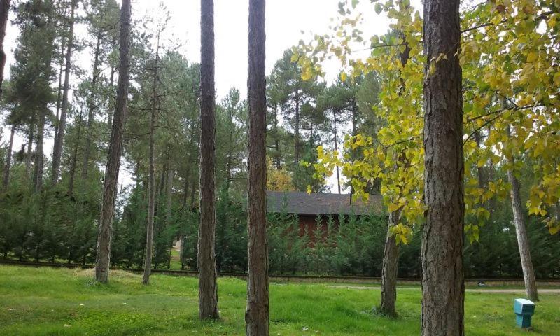 Camping Caravaning Cuenca Cuenca  Eksteriør bilde
