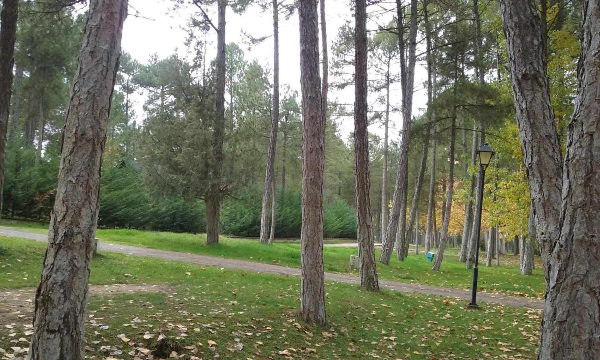 Camping Caravaning Cuenca Cuenca  Eksteriør bilde