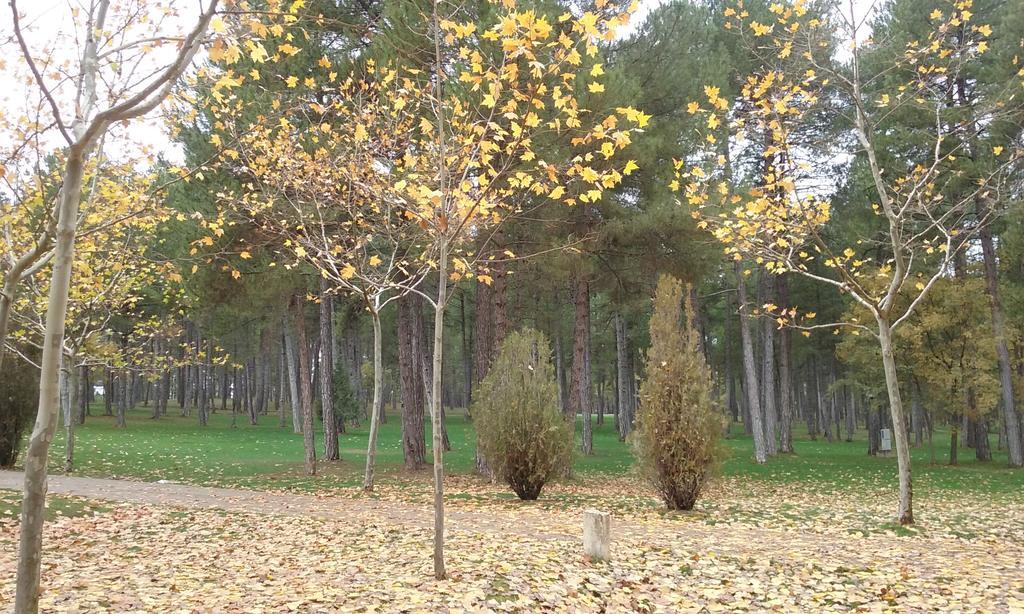 Camping Caravaning Cuenca Cuenca  Eksteriør bilde
